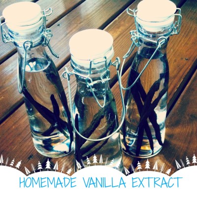 Holiday Gifts: Homemade Vanilla Extract