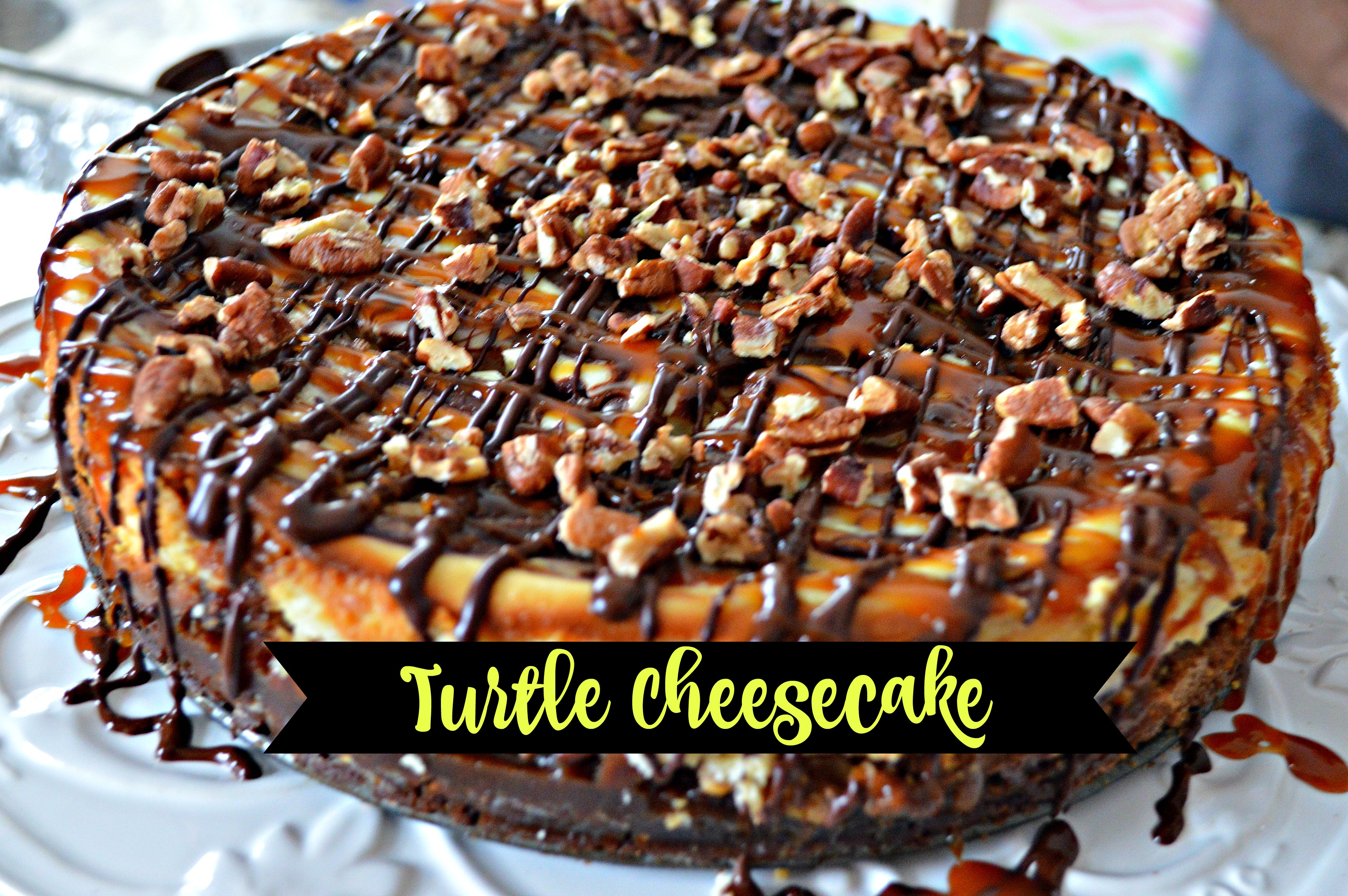 turtle cheesecake1